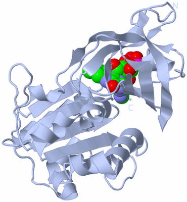 Image Biological Unit 1