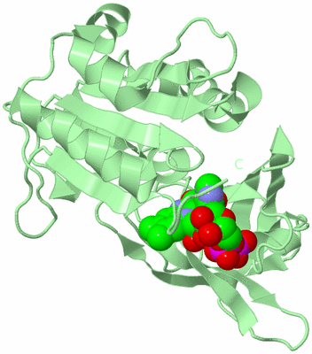 Image Biological Unit 2