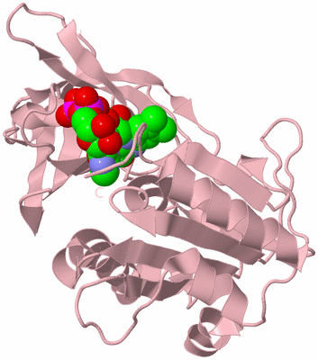 Image Biological Unit 3