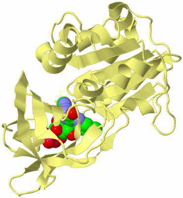 Image Biological Unit 4