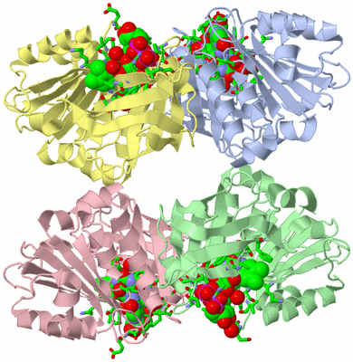 Image Asym. Unit - sites