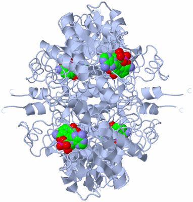 Image Biological Unit 1