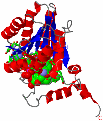 Image Asym. Unit - sites