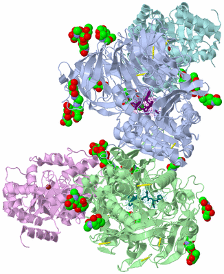 Image Biological Unit 1