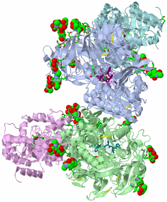 Image Biol. Unit 1 - sites