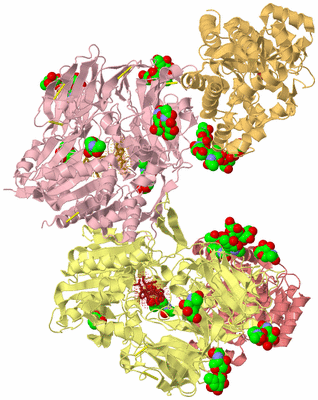 Image Biological Unit 2