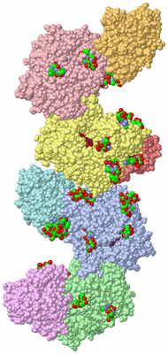 Image Asym. Unit - sites