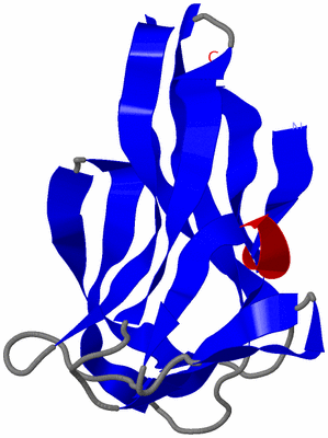 Image NMR Structure - model 1