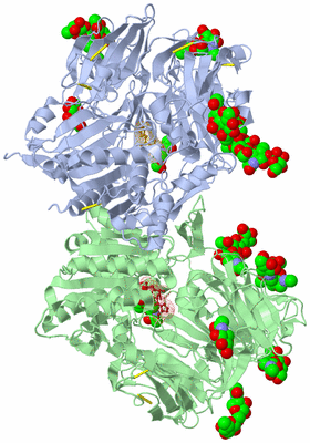 Image Asym./Biol. Unit