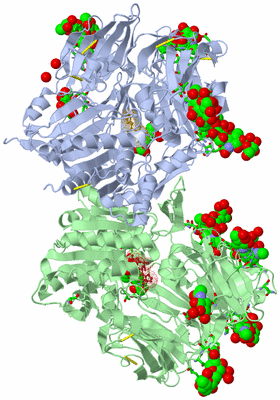 Image Asym./Biol. Unit - sites