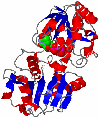 Image Asym./Biol. Unit