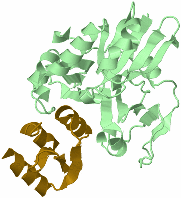 Image Biological Unit 2