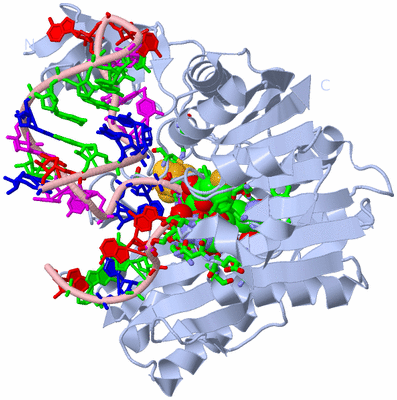 Image Biol. Unit 1 - sites