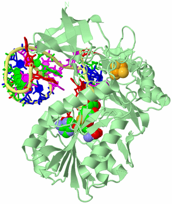 Image Biological Unit 2