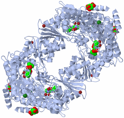 Image Biological Unit 1