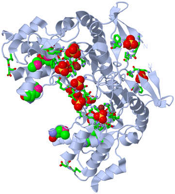 Image Biol. Unit 1 - sites