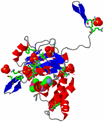 Image Asym. Unit - sites