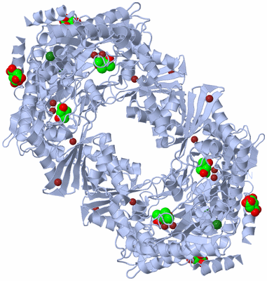 Image Biological Unit 1