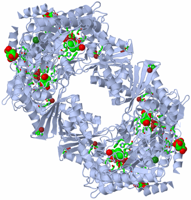 Image Biol. Unit 1 - sites