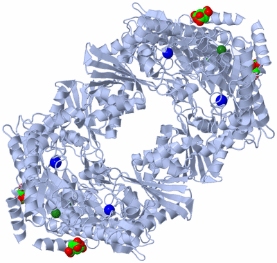 Image Biological Unit 1