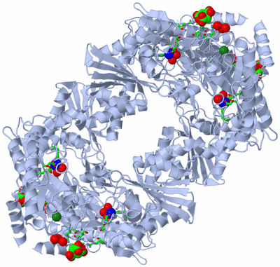 Image Biol. Unit 1 - sites