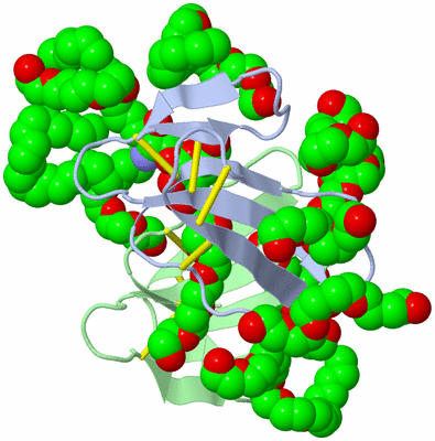 Image Asymmetric Unit