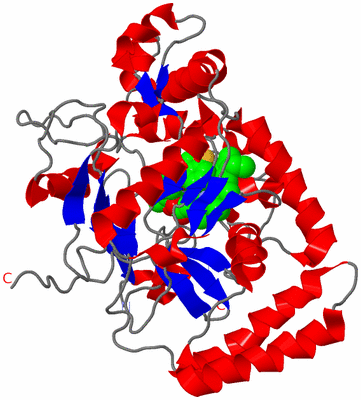 Image Asymmetric Unit