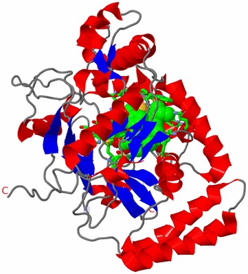 Image Asym. Unit - sites