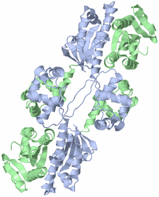 Image Biological Unit 1