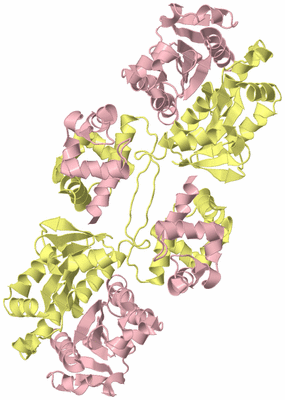 Image Biological Unit 2