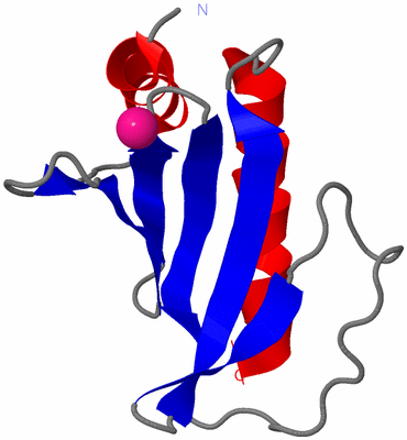 Image Asymmetric Unit