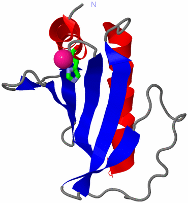Image Asym. Unit - sites