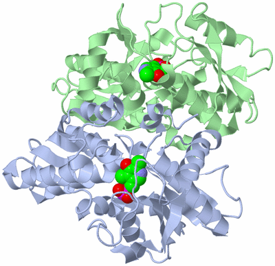 Image Biological Unit 1