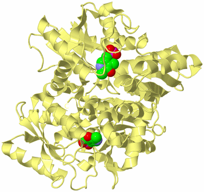 Image Biological Unit 3