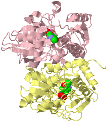 Image Biological Unit 2