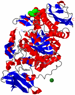 Image Asym./Biol. Unit