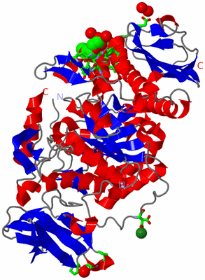 Image Asym./Biol. Unit - sites