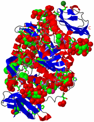 Image Asym./Biol. Unit - sites