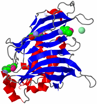 Image Asymmetric Unit