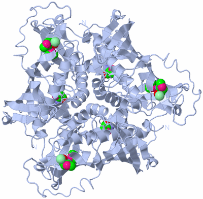 Image Biological Unit 1