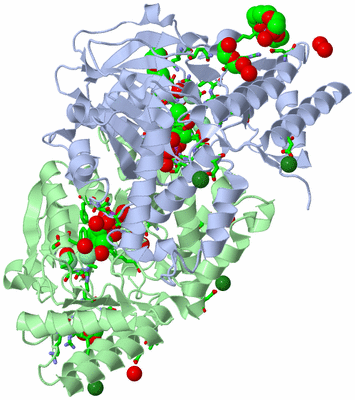 Image Asym./Biol. Unit - sites