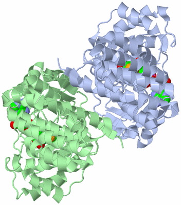 Image Asym./Biol. Unit
