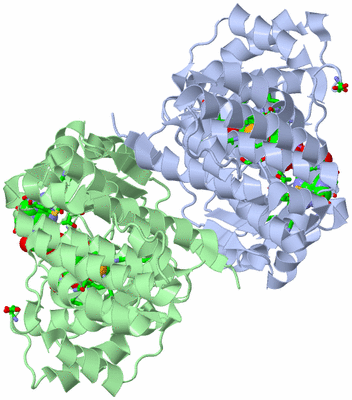 Image Asym./Biol. Unit - sites