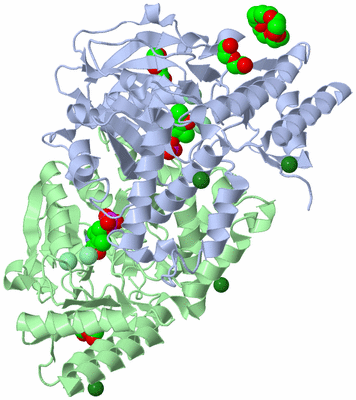 Image Asym./Biol. Unit