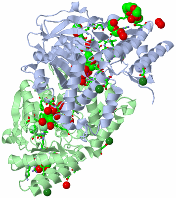 Image Asym./Biol. Unit - sites