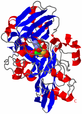 Image Asymmetric Unit