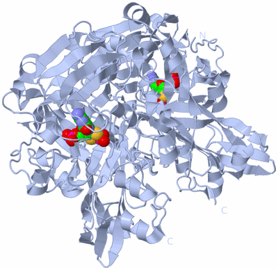 Image Biological Unit 1