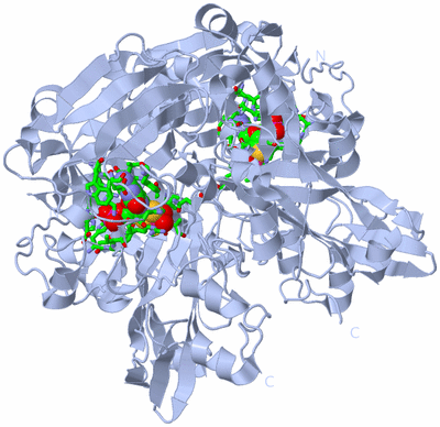 Image Biol. Unit 1 - sites