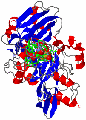 Image Asym. Unit - sites