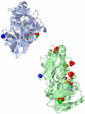 Image Asymmetric Unit